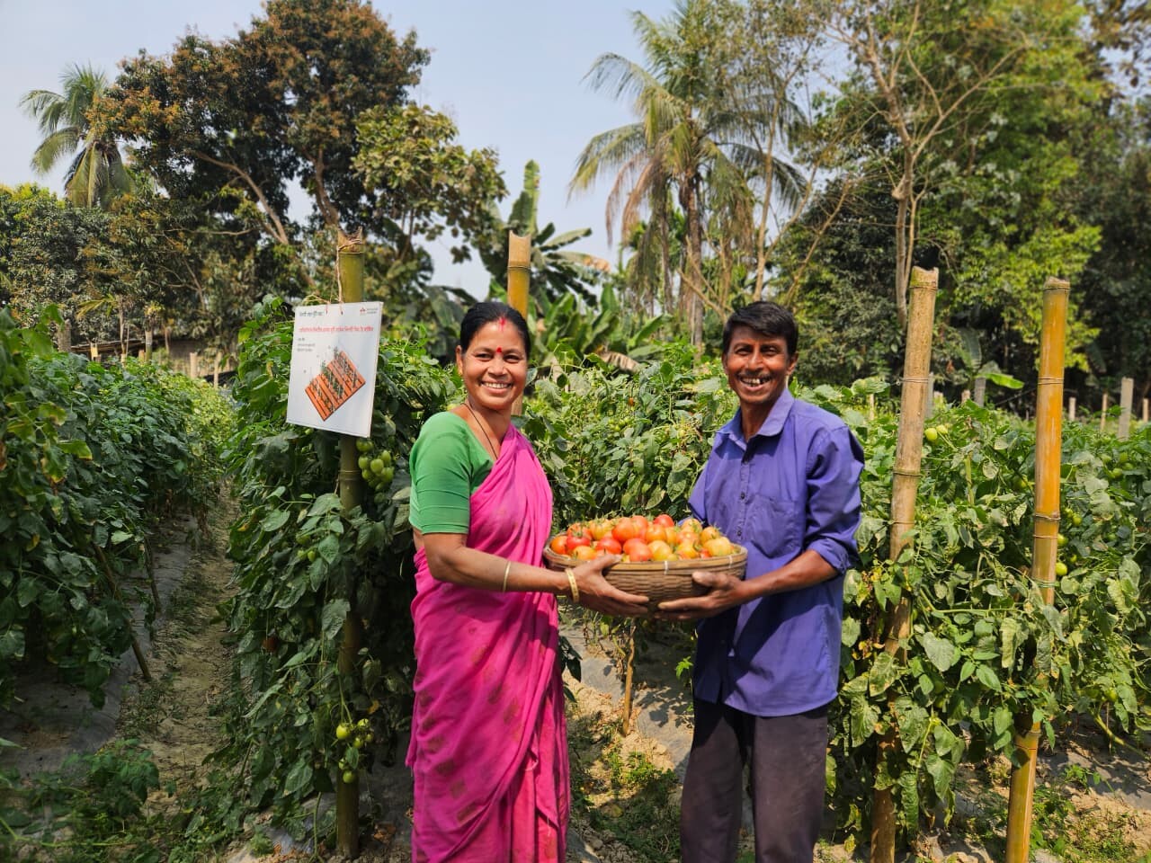 Become a better farmer