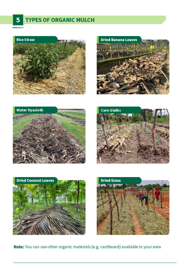 Become a better farmer and increase your yields