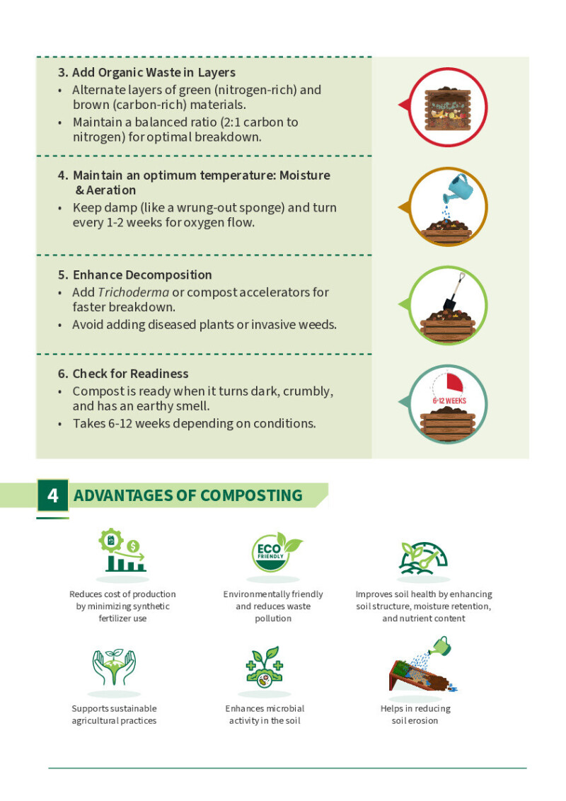 Visual Compost Guide How to Compost Guide